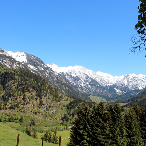 Im Mai im Allgäu (2)